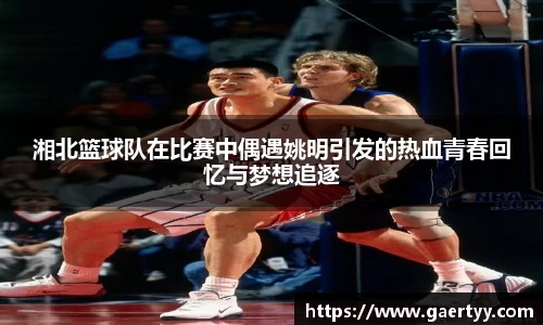 湘北篮球队在比赛中偶遇姚明引发的热血青春回忆与梦想追逐